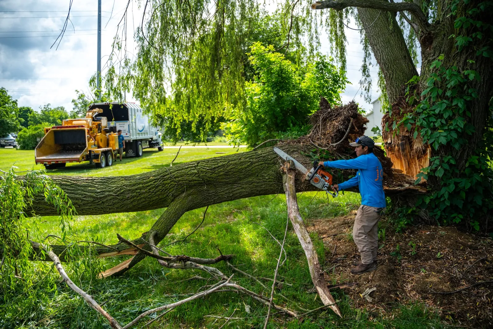 Nate's Tree & Outdoor Services crew cutting up a storm-fallen willow with a chainsaw