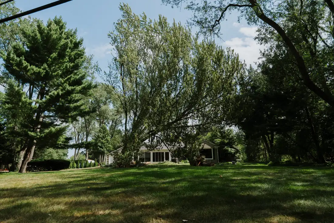 Large mature trees on a Southeast Michigan lawn ready for seasonal pruning