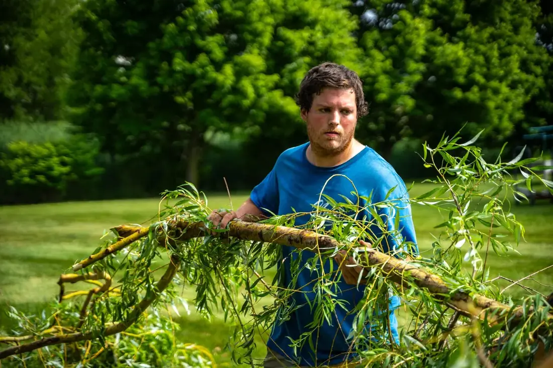 Crew member hauling willow branches by hand