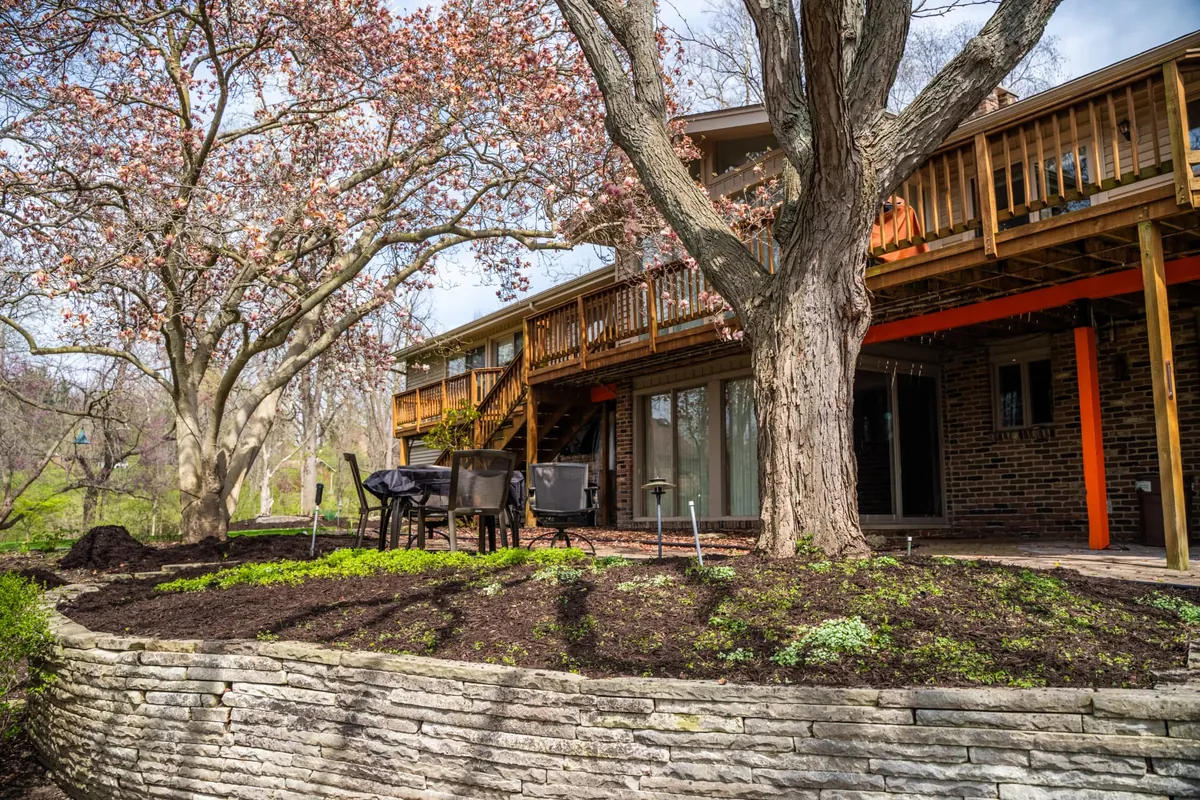 Completed landscaping with fresh mulch, shrubs, and stone wall