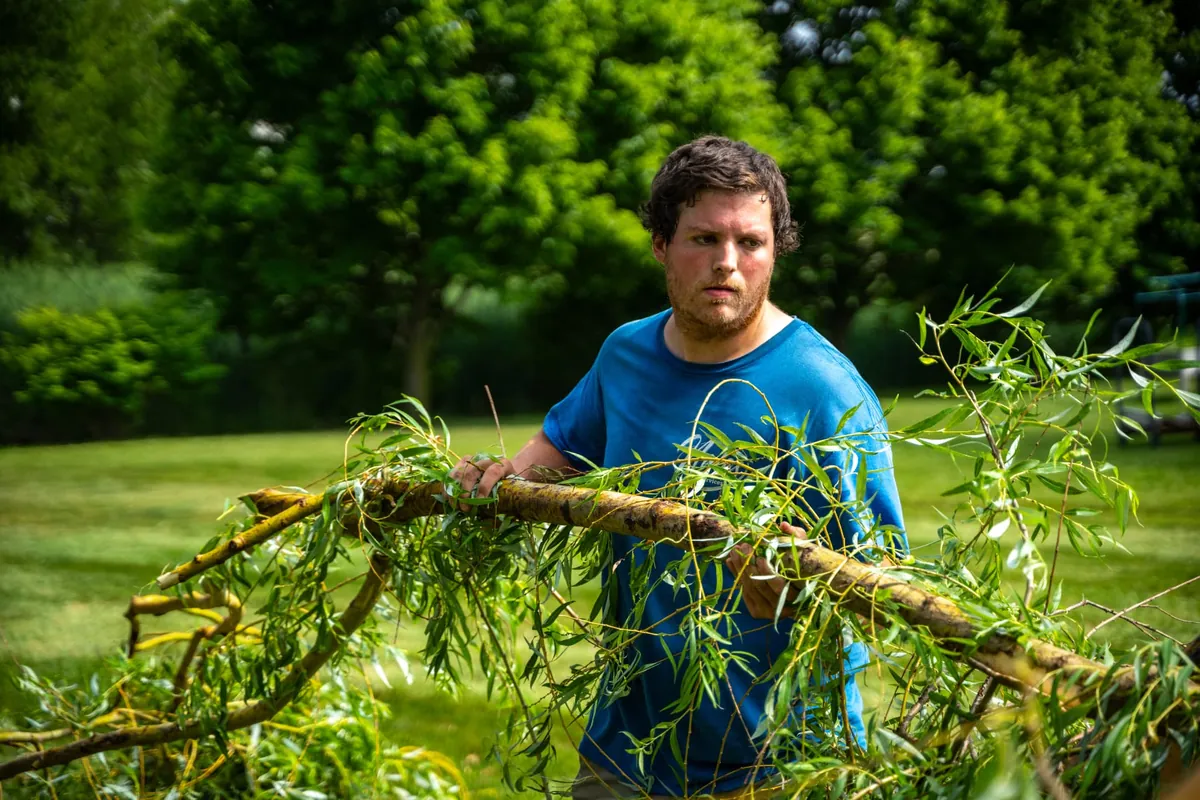 Crew member hauling willow branches by hand