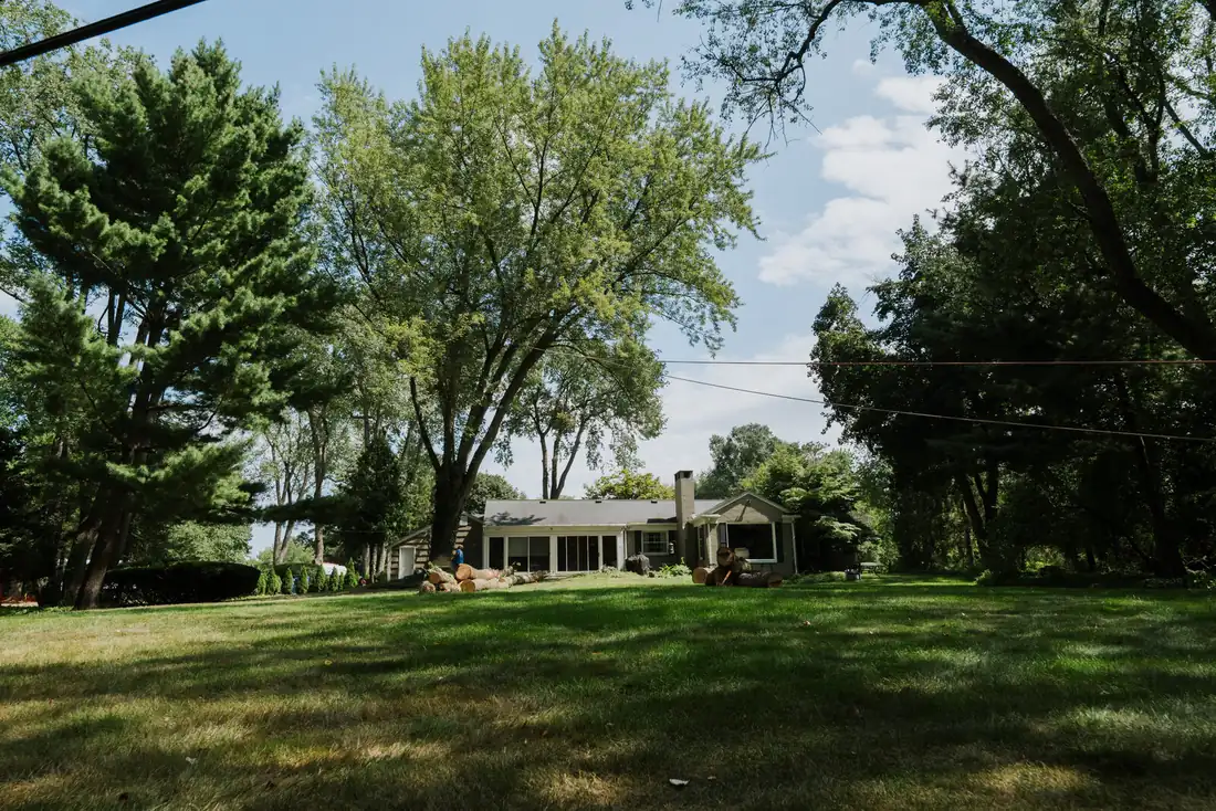 Mature shade trees over a manicured lawn on a Southeast Michigan property