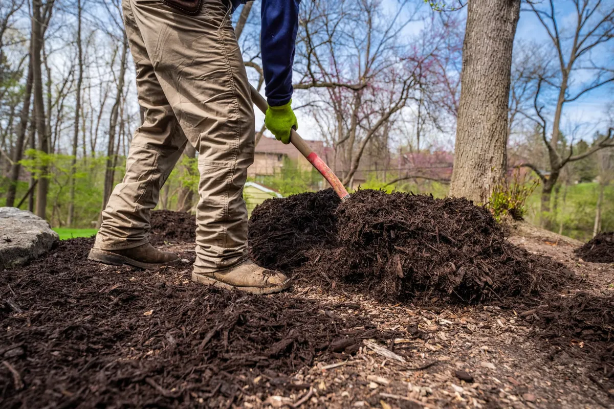 Spreading hardwood mulch around a backyard planting bed