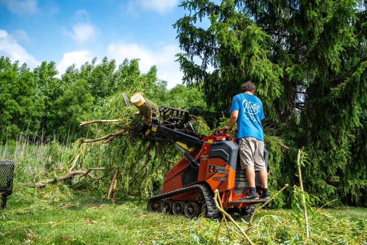Skid steer carrying a cut trunk and brush