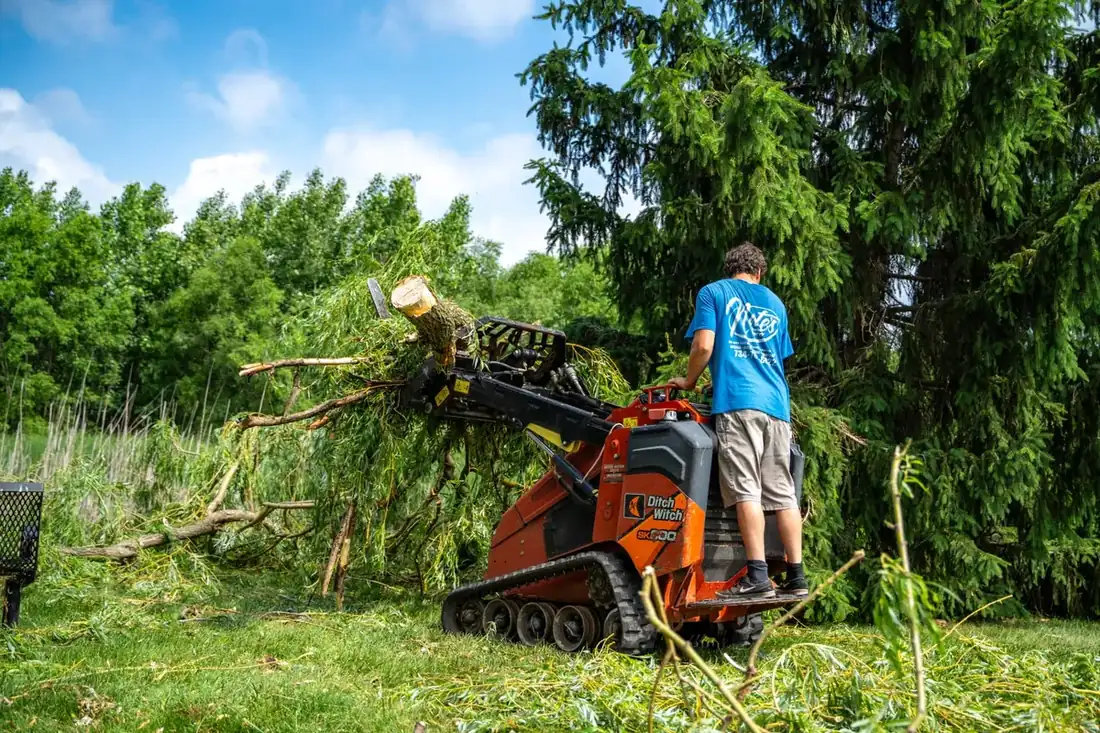 Skid steer carrying a cut trunk and brush